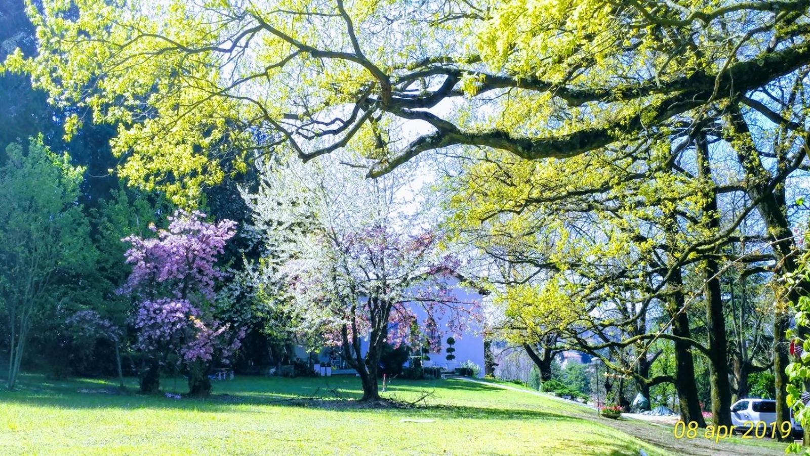 "La Selvetta" Bed And Breakfast Buguggiate Exteriér fotografie